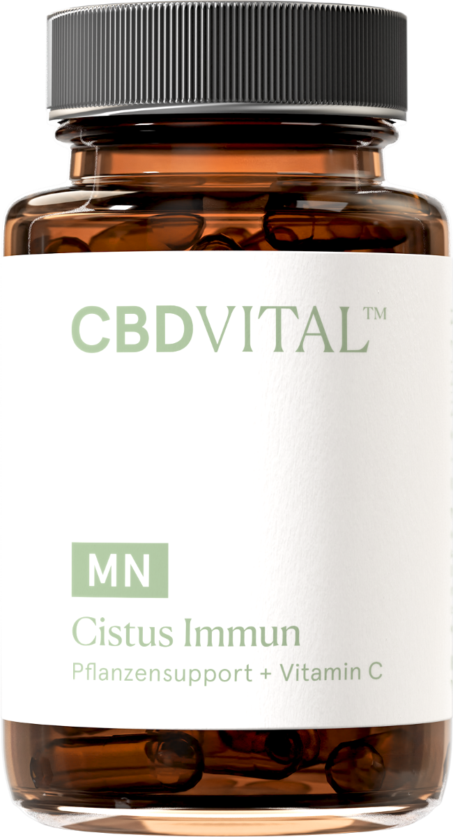 MN Cistus Immun (Pflanzensupport + Vitamin C)