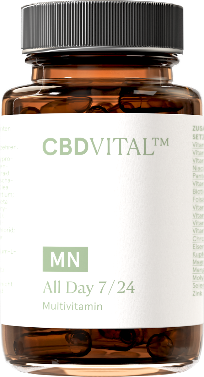 MN All Day 7/24 Multivitamin