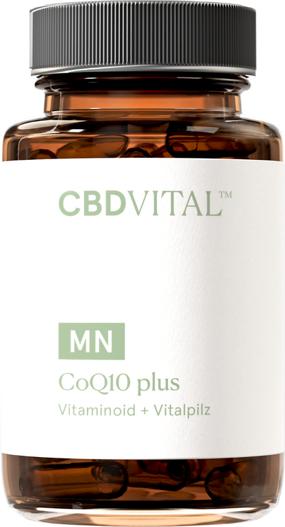MN Coenzym Q10 plus (Vitaminoid + Vitalpilz)